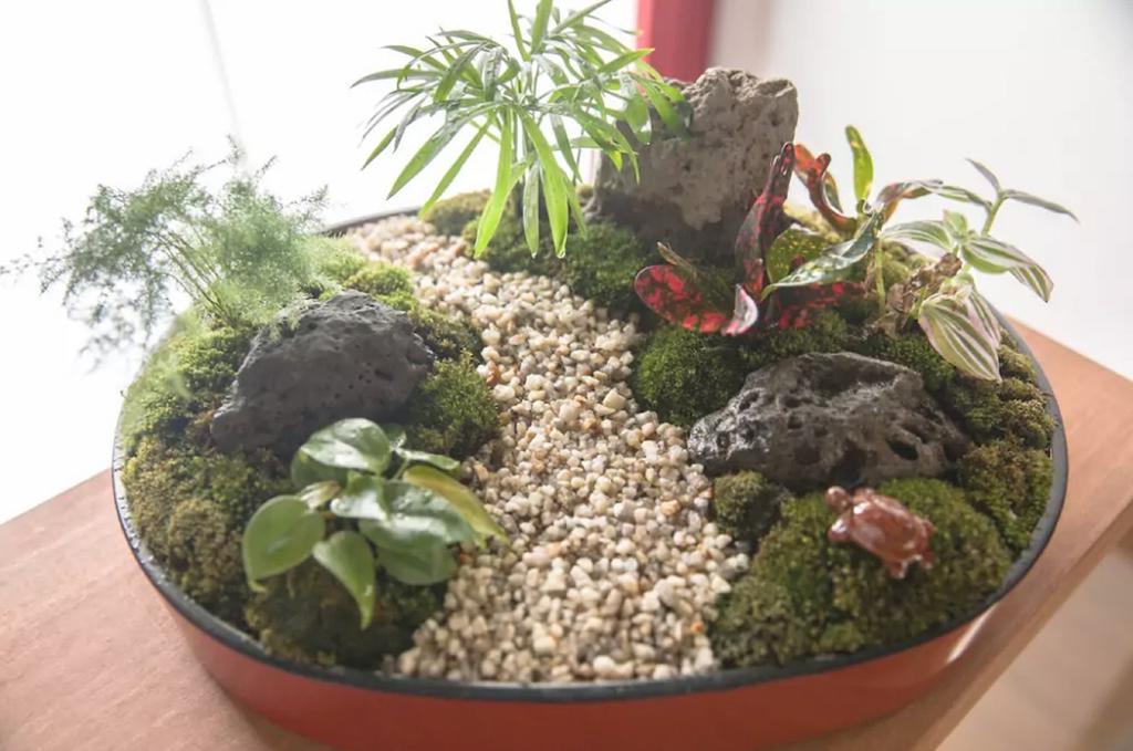 Chayado Hachijo Hébergement de vacances